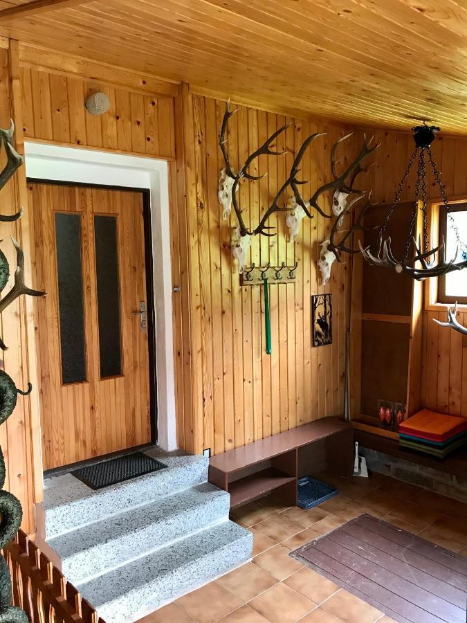 Apartman Na Kopecku Modrava Zewnętrze zdjęcie